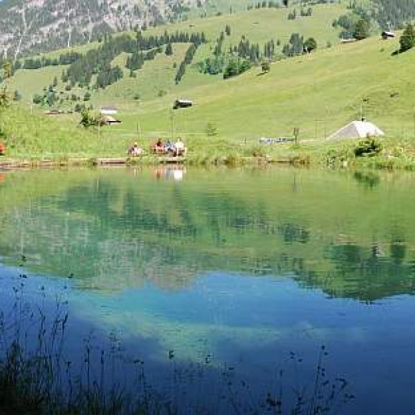 blauseeli